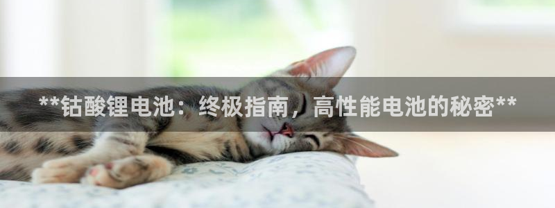 凯时AG网