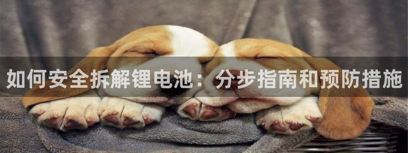 尊龙人生就是博ag旗舰厅