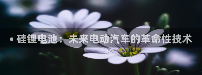尊龙凯时是赌博嘛