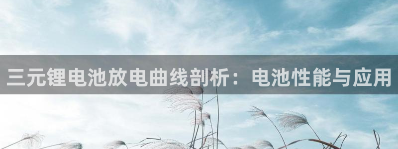 尊龙凯时官方网站下载