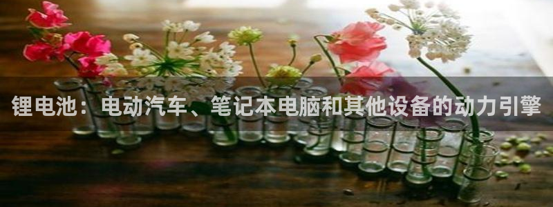 尊龙集团有限公司官网