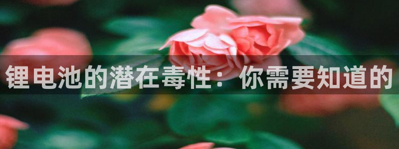 尊龙-人生就是博!