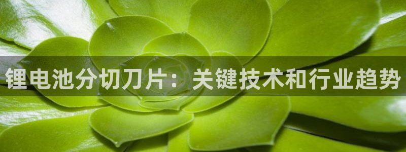 凯时ag旗舰厅网址是什么
