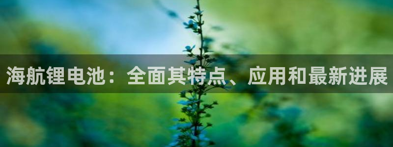 尊龙凯时平台还是万博好