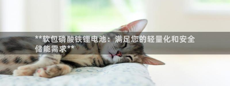 尊龙专访视频