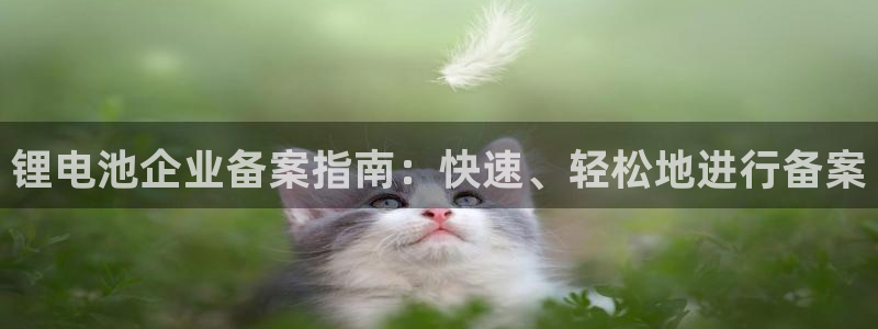 尊龙凯时ag旗舰厅