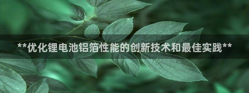 尊龙凯时网娱乐最新版