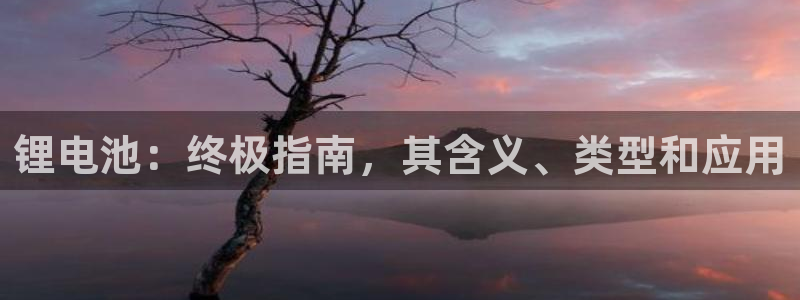 尊龙凯时有限公司