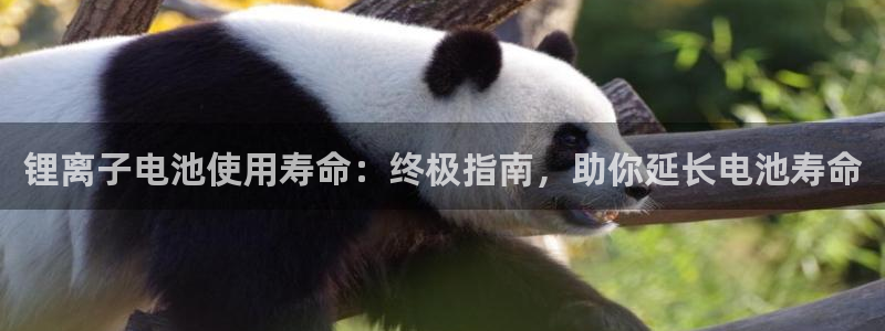 尊龙人生就要博旧版