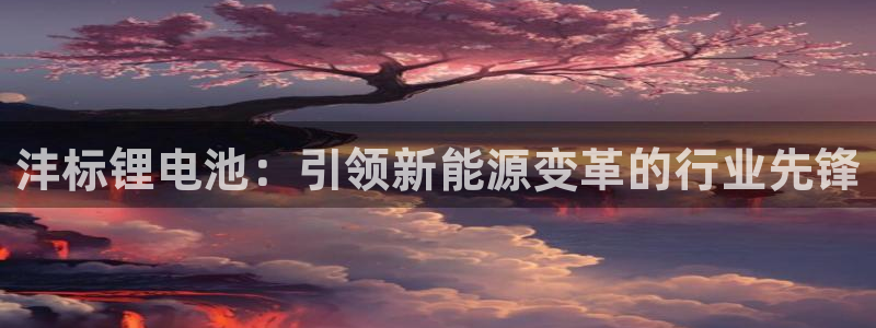 z6com尊龙凯时代理