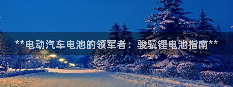 尊龙凯时 人生就是搏!
