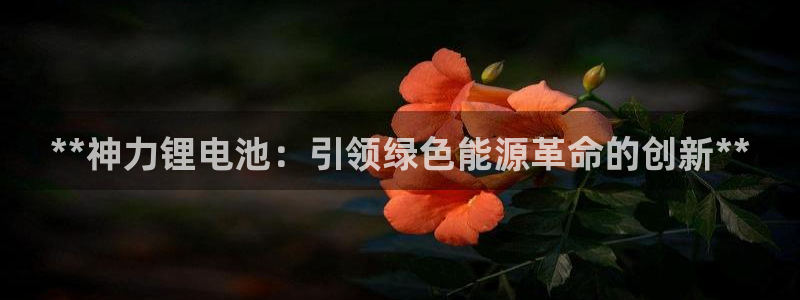 凯时网址多少