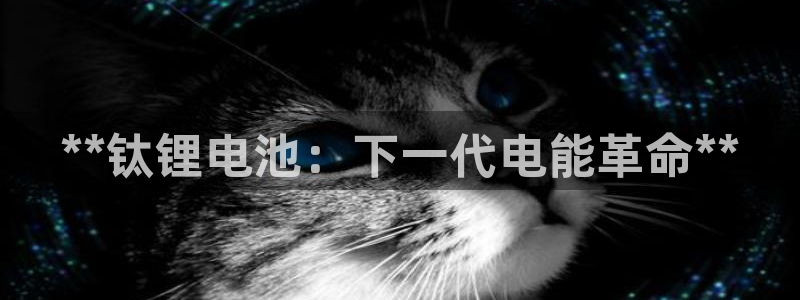 尊龙手机版下载