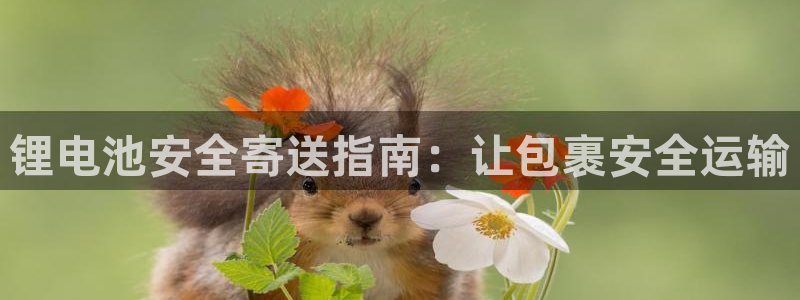 尊龙凯时怎么注册