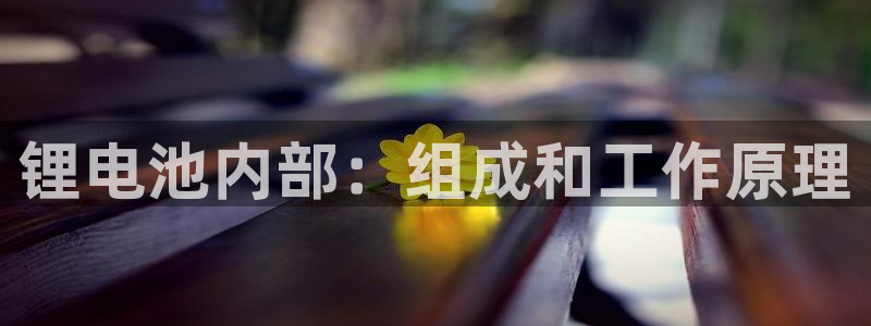 尊龙 下载