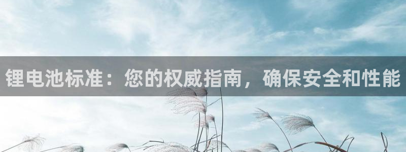 尊龙z6官网：锂电池标准：您的权威指南，确保安全和性能