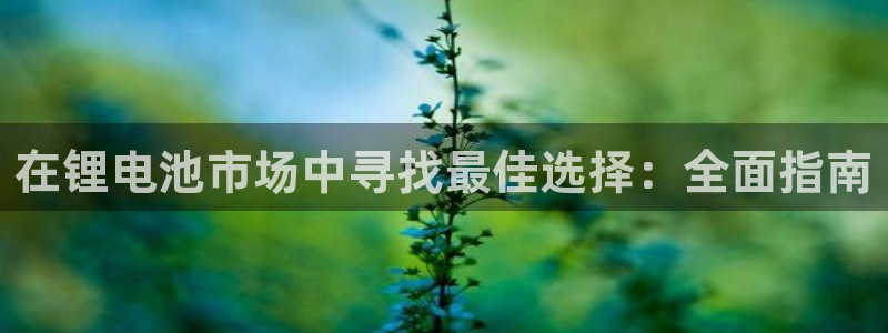 尊龙凯时取款不成功：在锂电池市场中寻找最佳选择：全面指南