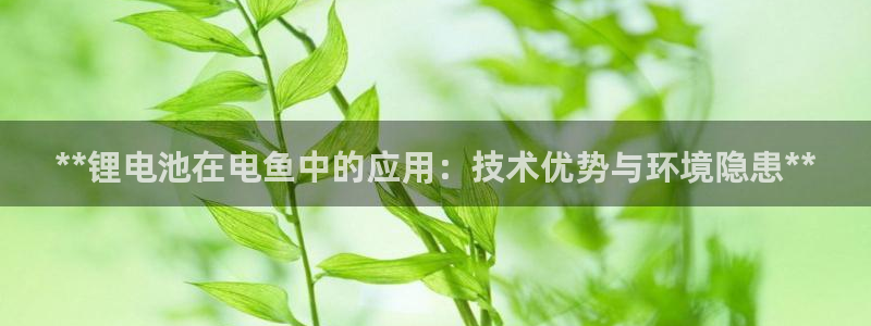 凯时是AG优质运营商：**锂电池在电鱼中的应用：技术优势与环境隐患**