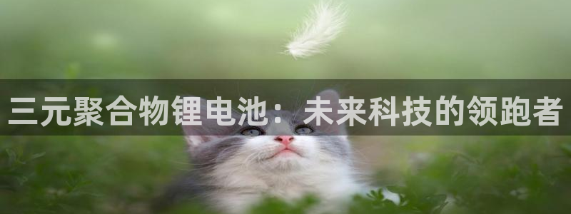 尊龙凯时ag旗舰厅试玩