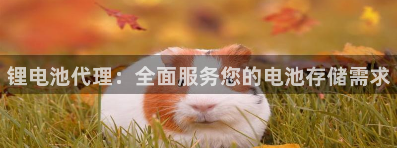 尊龙凯时防屏蔽网址