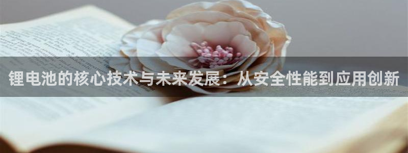 凯时游戏官方网站
