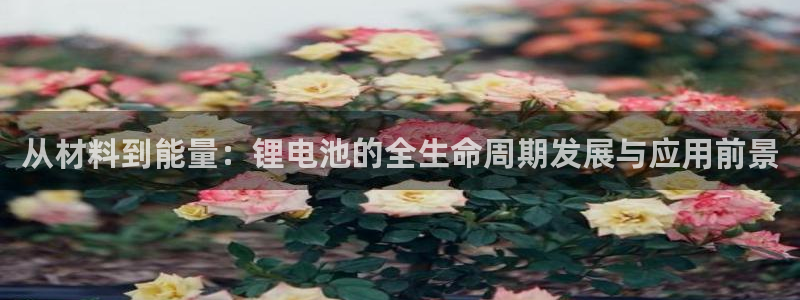 首页尊龙d88国际