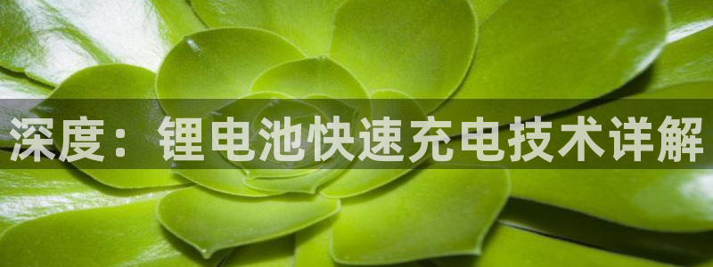 尊龙ag旗舰厅下载