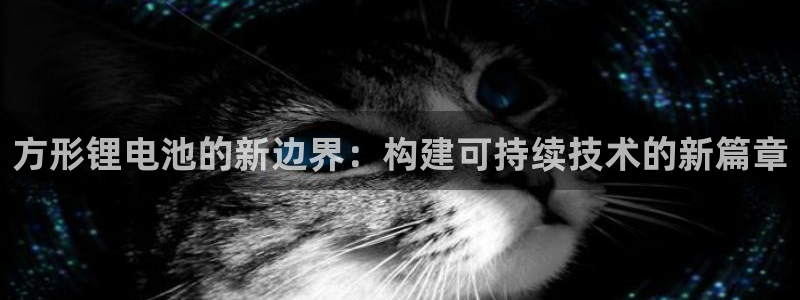 尊龙现金娱乐 下载