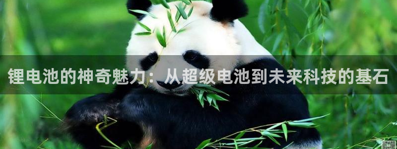 尊龙人生就是博送38
