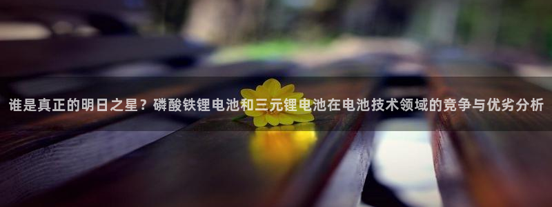 尊龙凯时-人生就是博中国官网最新