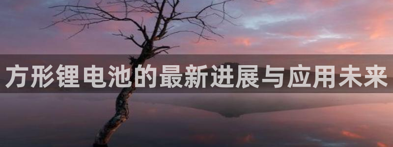 尊龙凯时取款24小时不到账