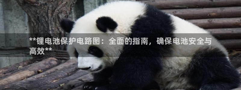 尊龙app注册官网：**锂电池保护电路图：全面的指南，确保电池安全与
高效**