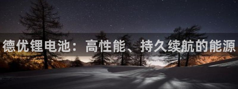 尊龙凯时美金能提取吗：德优锂电池：高性能、持久续航的能源