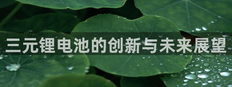 尊龙人生就是博下载