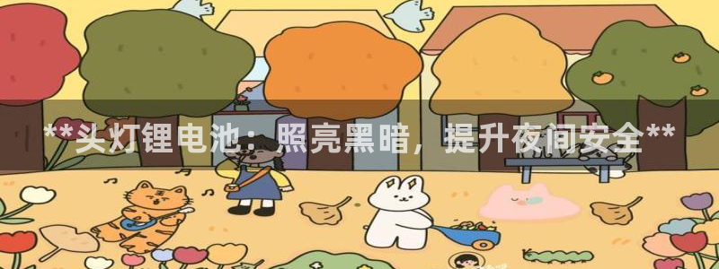 尊龙凯时用户名m：**头灯锂电池：照亮黑暗，提升夜间安全**