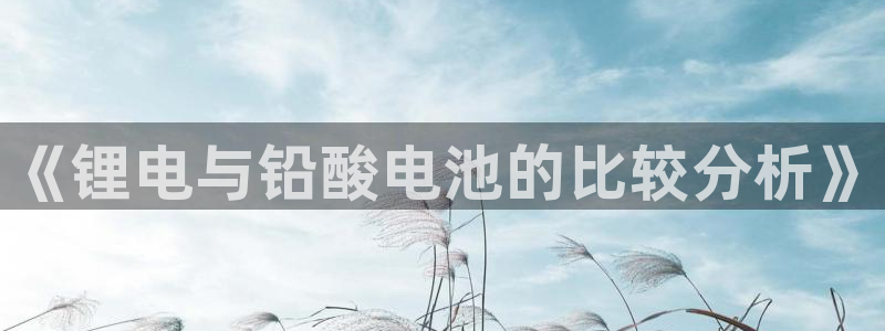 尊龙网站手机下载