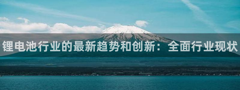 尊龙凯时平台怎么样：锂电池行业的最新趋势和创新：全面行业现状
