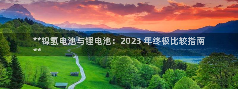 尊龙手机官方客户端下载安装：**镍氢电池