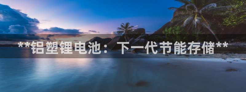 尊龙凯时：**铝塑锂电池：下一代节能存储**