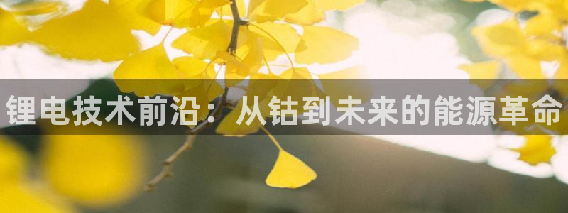 尊龙凯时平台不给出款怎么办