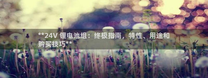 尊龙凯时取款24小时不到账：**24V 锂电池组：终极指南，特性、用途和
购买技巧**