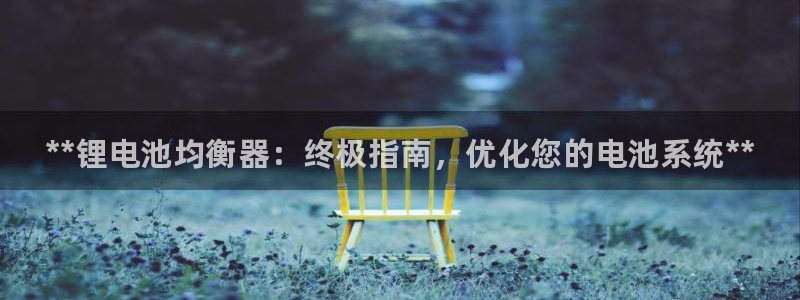 尊龙网站登录：**锂电池均衡器：终极指南，优化您的电池系统**