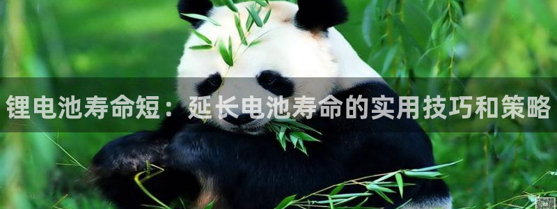 尊龙网址是选访问zd207：锂电池寿命短：延长电池寿命的实用技巧和策略