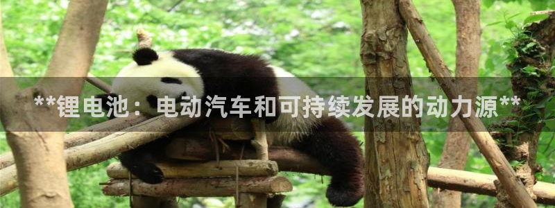 尊龙人生就是博官