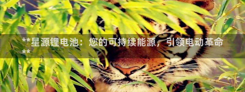 z6尊龙凯时旗：**星源锂电池：您的可持续能源，引领电动革命
**