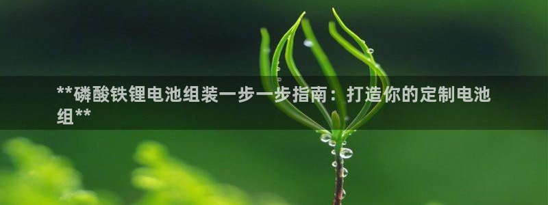 尊龙凯时请求参数不符合