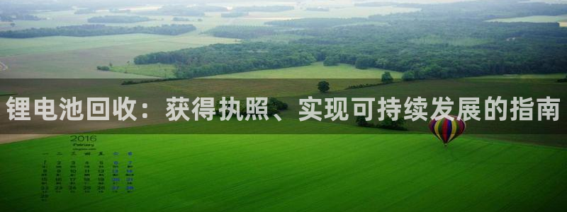 尊龙d88官网登录：锂电池回收：获得执照、实现可持续发展的指南