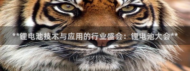 凯时游戏app：**锂电池技术与应用的行业盛会：锂电池大会**