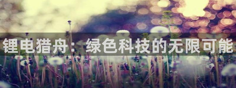 KB88凯时官网登录